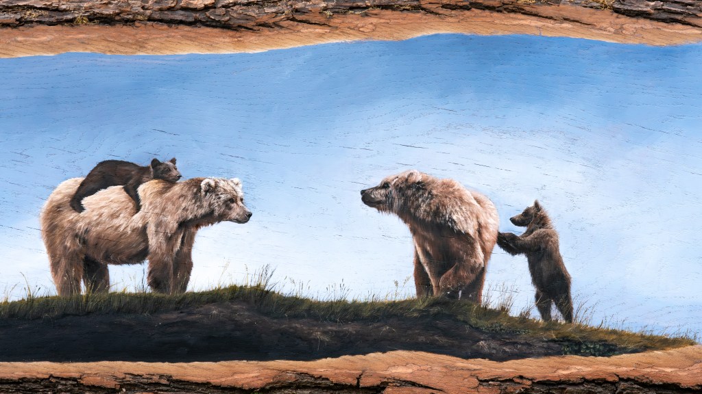 Zwei Bärenmütter mit ihren Jungen, die sich neugierig und gleichzeitig doch voller Vorsicht betrachten