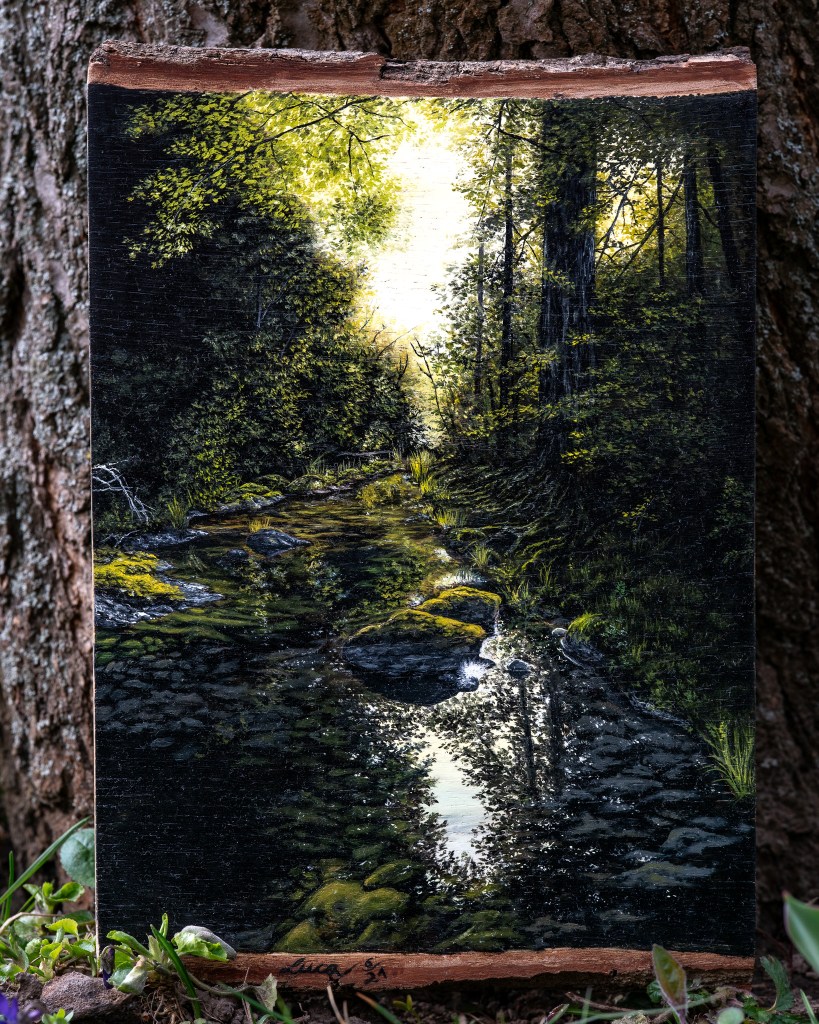 Ein sich spiegelnder Fluss, der sich langsam durch eine Waldlandschaft windet.