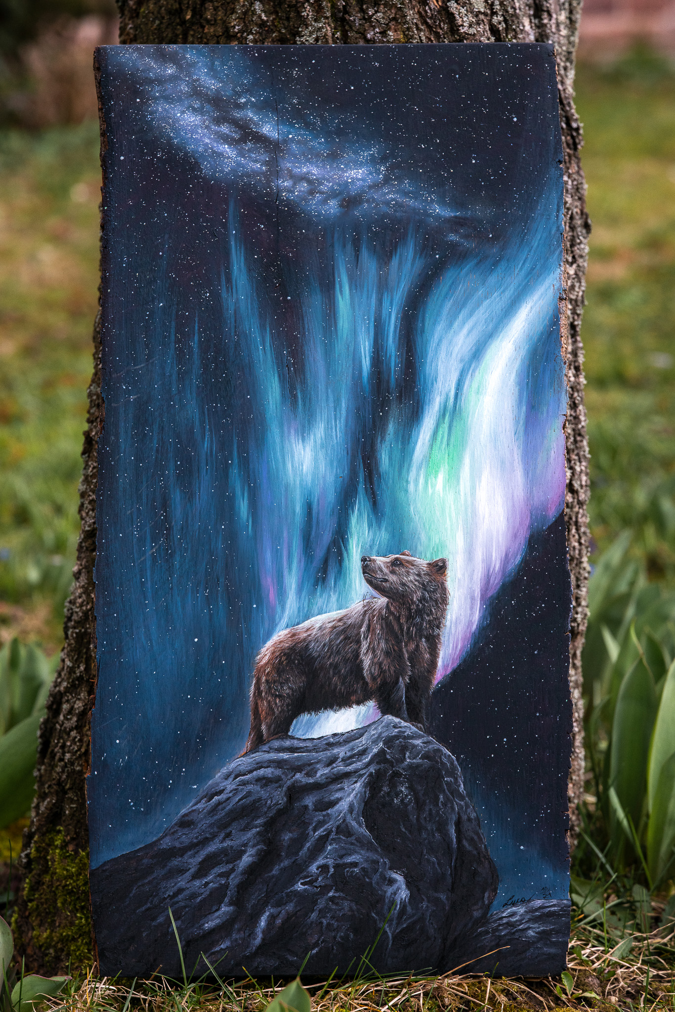 Ein Braunbär steht auf einem grauen Fels und blickt in den Nachthimmel. Hinter ihm erhebt sich eine Aurora Borealis und ganz oben am Firmament erkennt man die Milchstraße zu der er aufblickt.