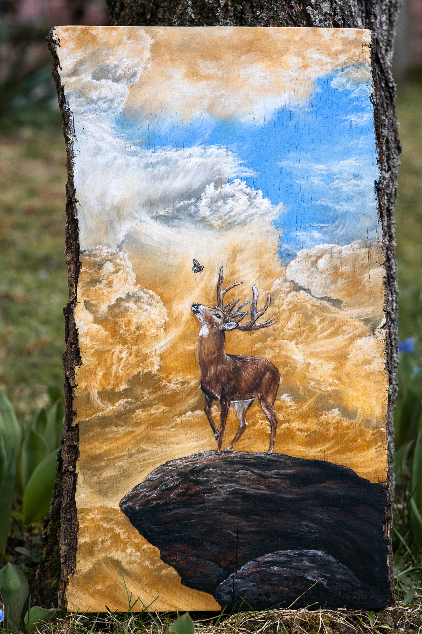 Ein Weißwedelhirsch beobachtet einen Monarchfalter, der knapp über seinem Kopf in der Luft schwebt. Im Hintergrund 